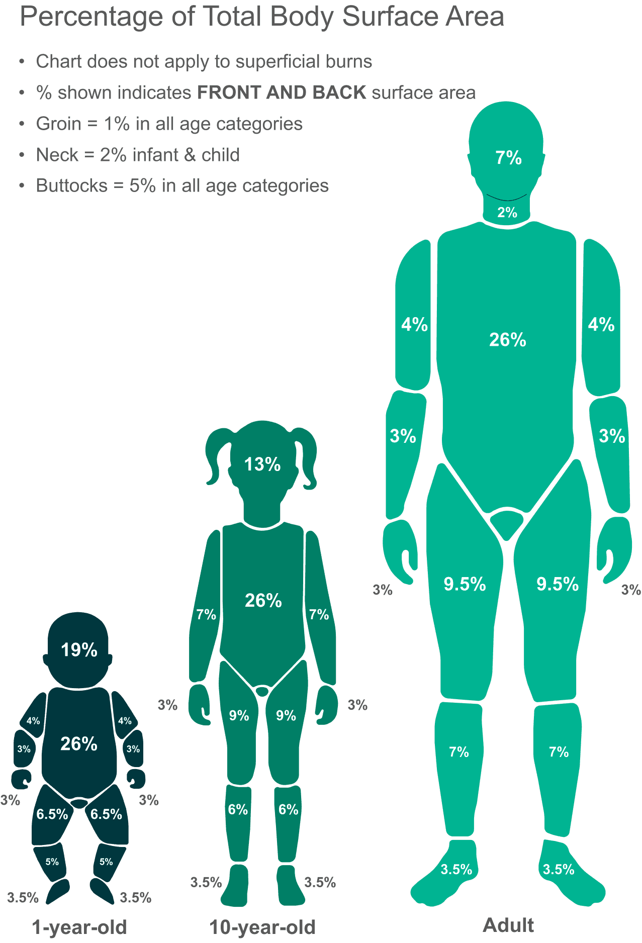 Age-adjusted TBSA reference for 1-year-old, 10-year-old, and adult patients